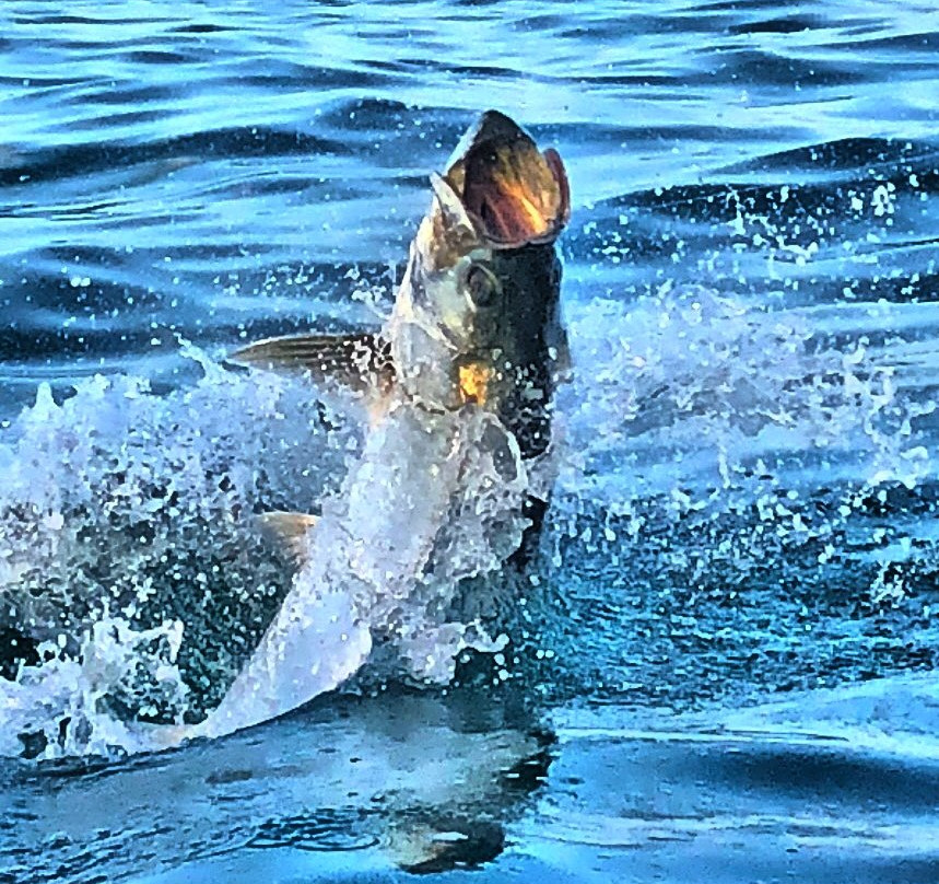 Tenacity Guide Service-开普科勒尔必去景点