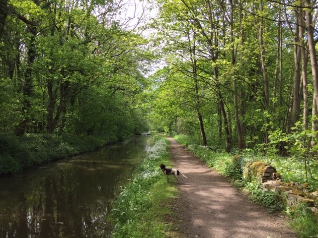 Chesterfield Canal-沃克索普必去景点