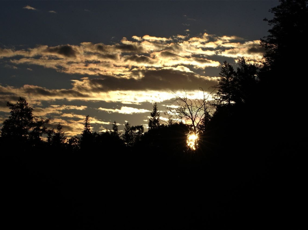 Sunny Slope Bed & Breakfast主图