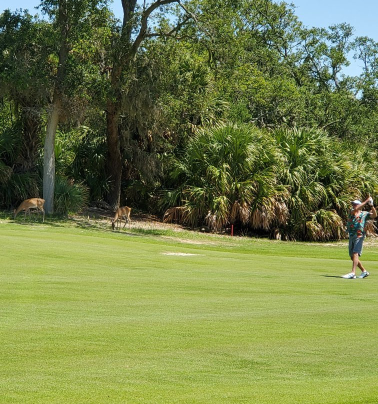 Ocean Point Golf Links-Fripp Island必去景点
