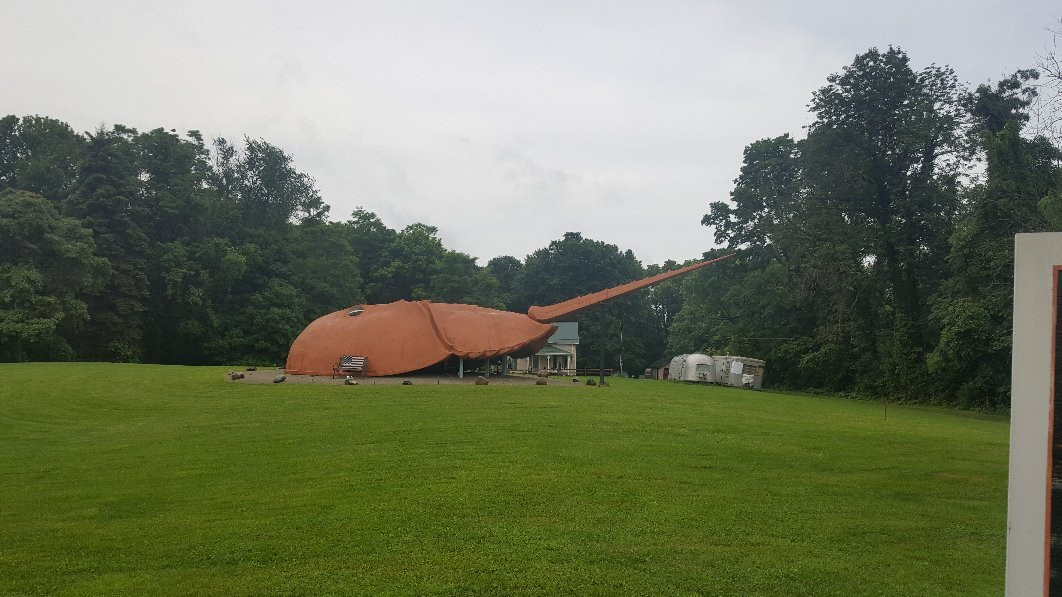 Worlds Largest Horseshoe Crab景点图片