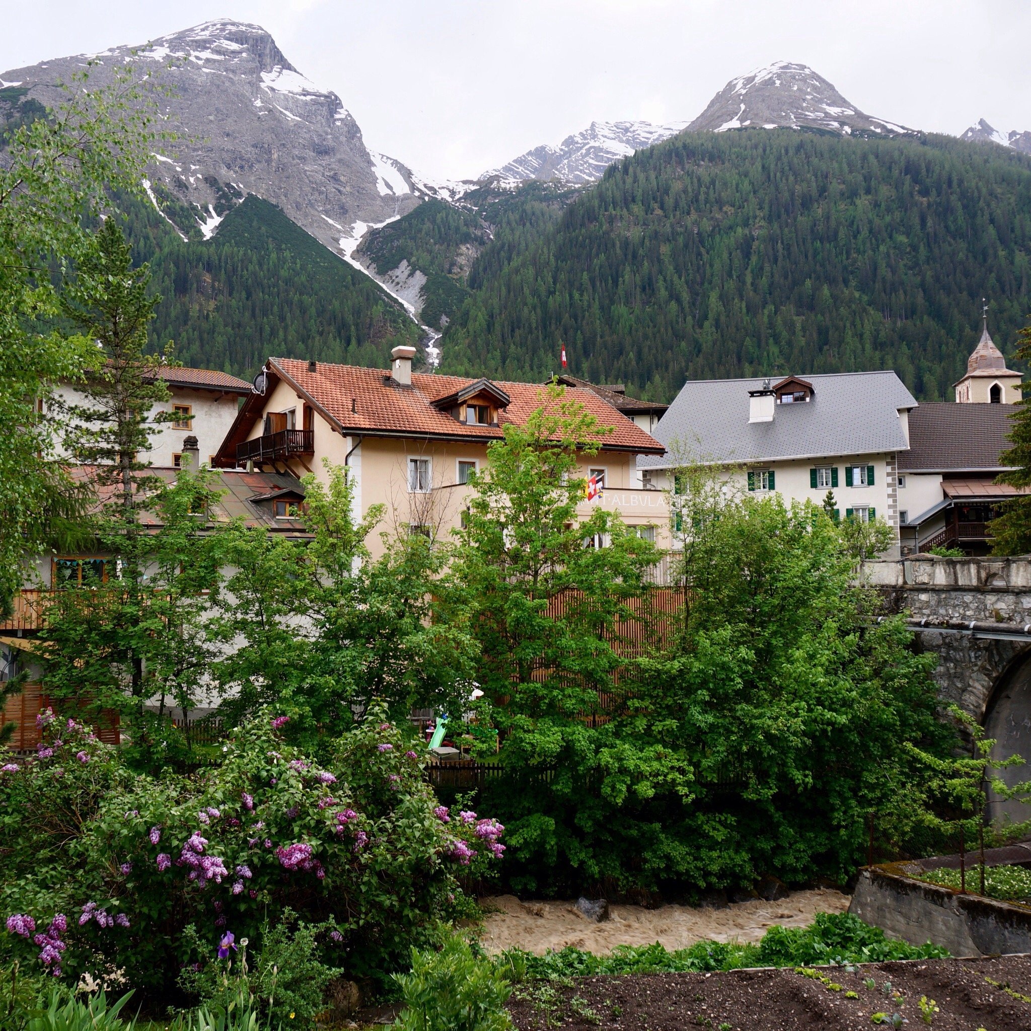 Hotel Albula-官方