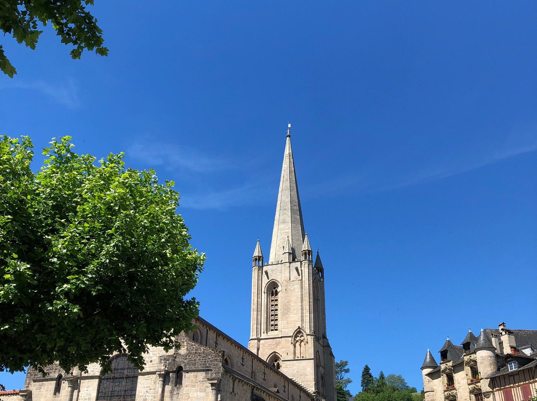 Cathédrale Notre-Dame de Tulle景点图片