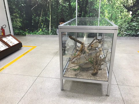 Museu Histórico de Itapira-Itapira必去景点