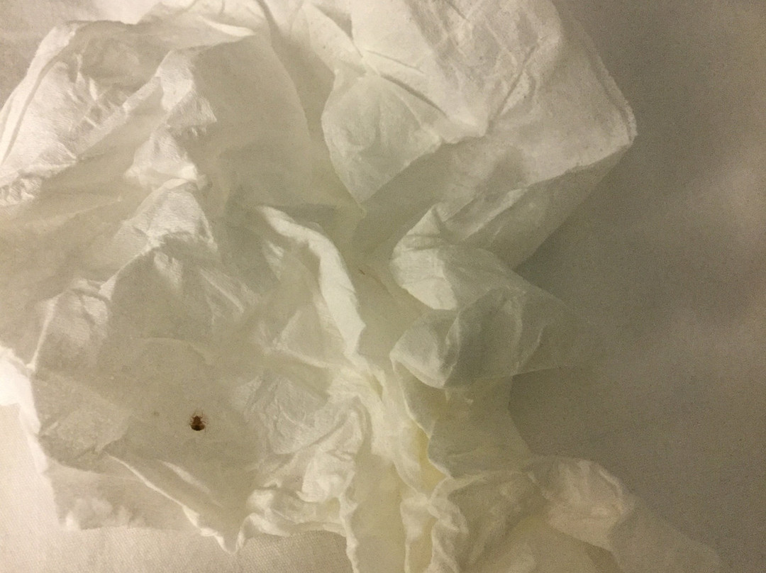 Wingate by Wyndham High Point/Greensboro主图