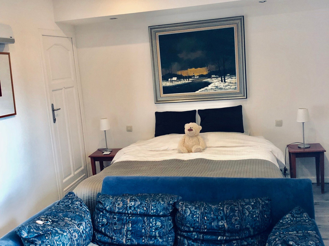 Ter Brugge Bed and Breakfast主图