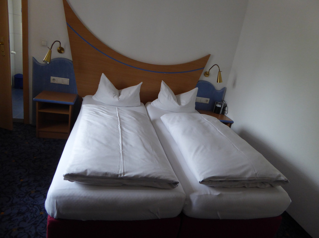 Hotel Waldhorn主图