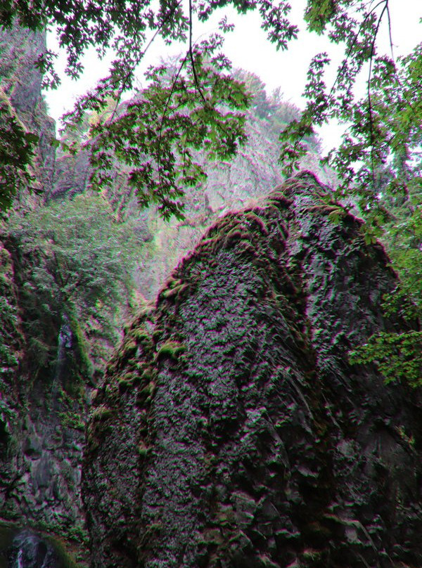 Cabin Creek Falls景点图片