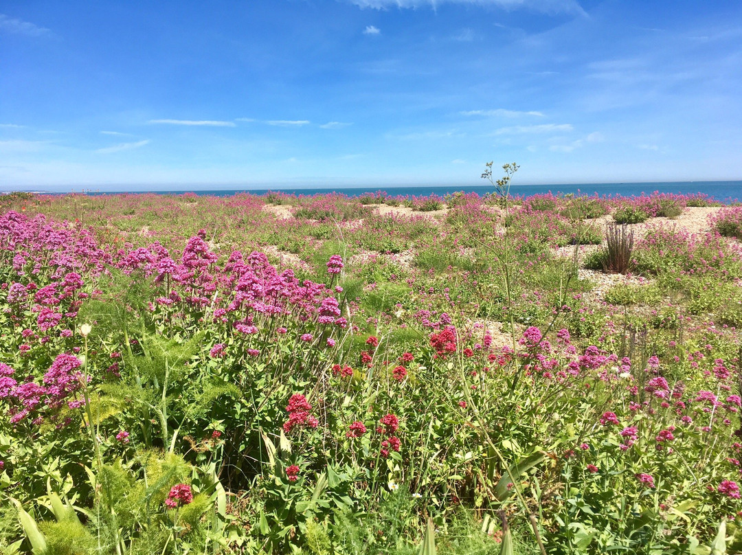 Kingsdown Beach景点图片