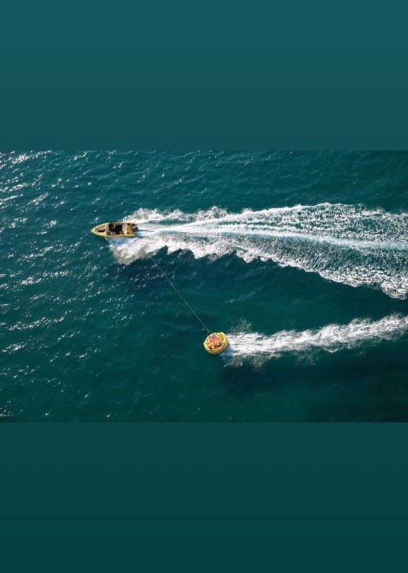 Shark WaterSports-杜勒斯必去景点