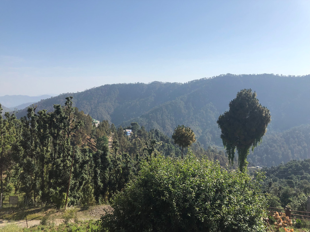 The Nature Walk主图