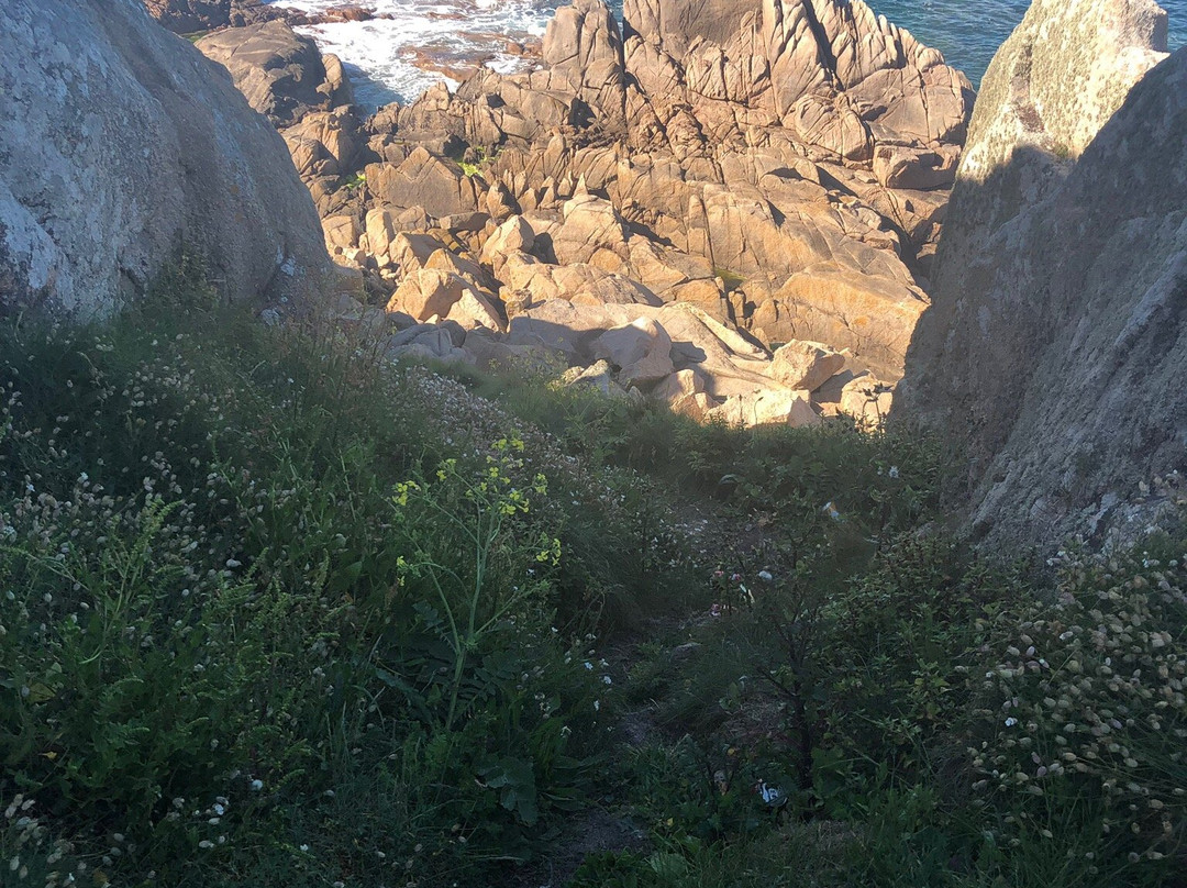Saline Bay-Castel必去景点