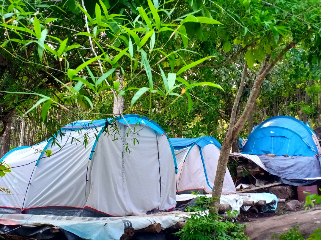 wayanad adventure (evergreen tent stay)
