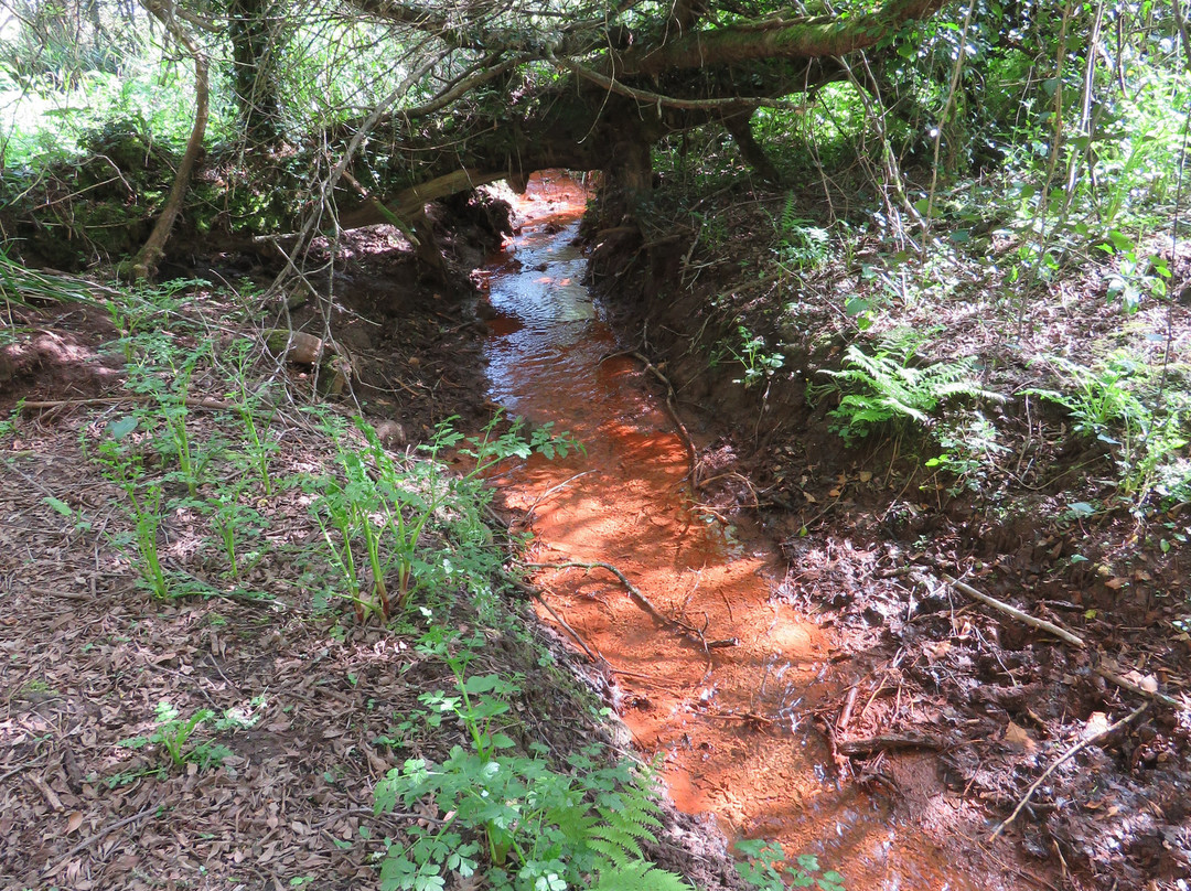 Egloshayle to Dinham Bridge-Wadebridge必去景点