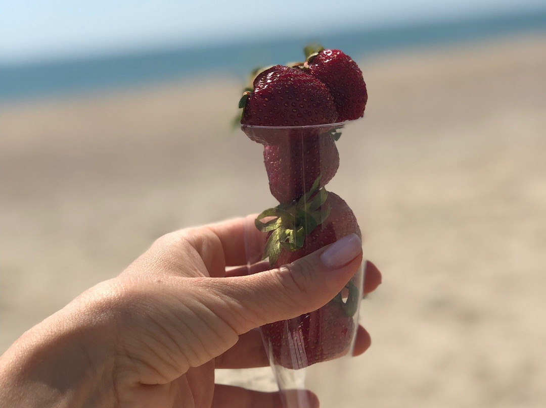 Afrodita Hotel主图