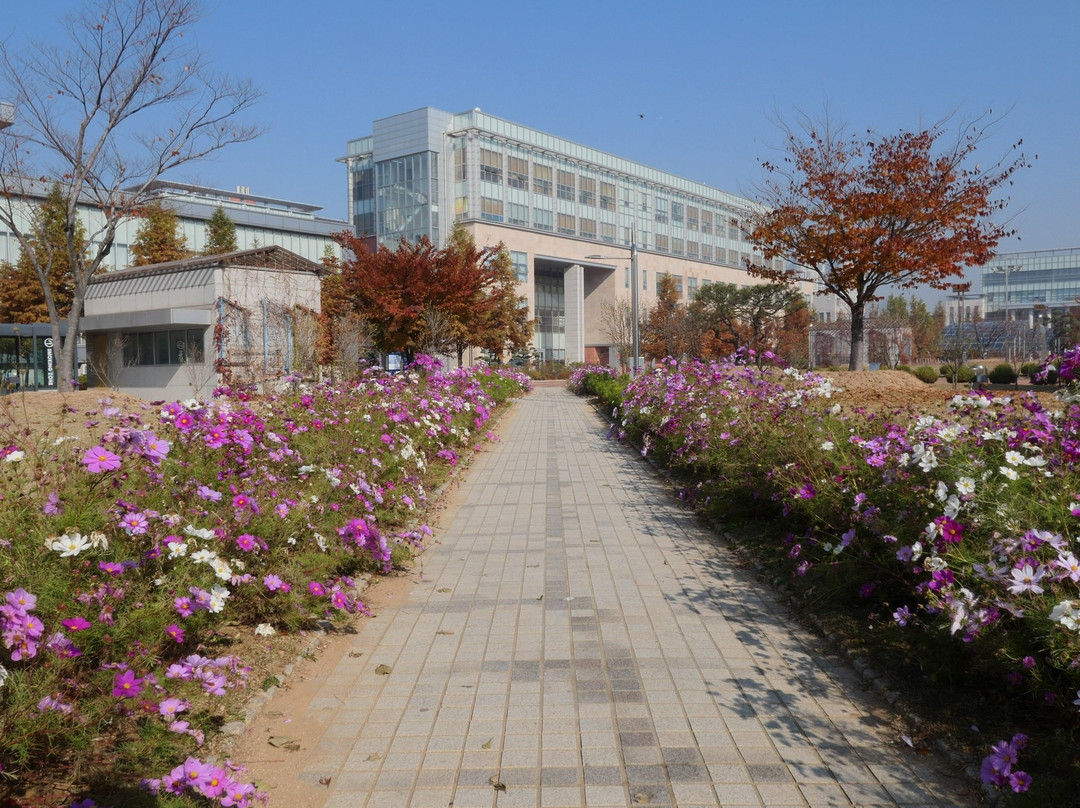 仁川大学景点图片