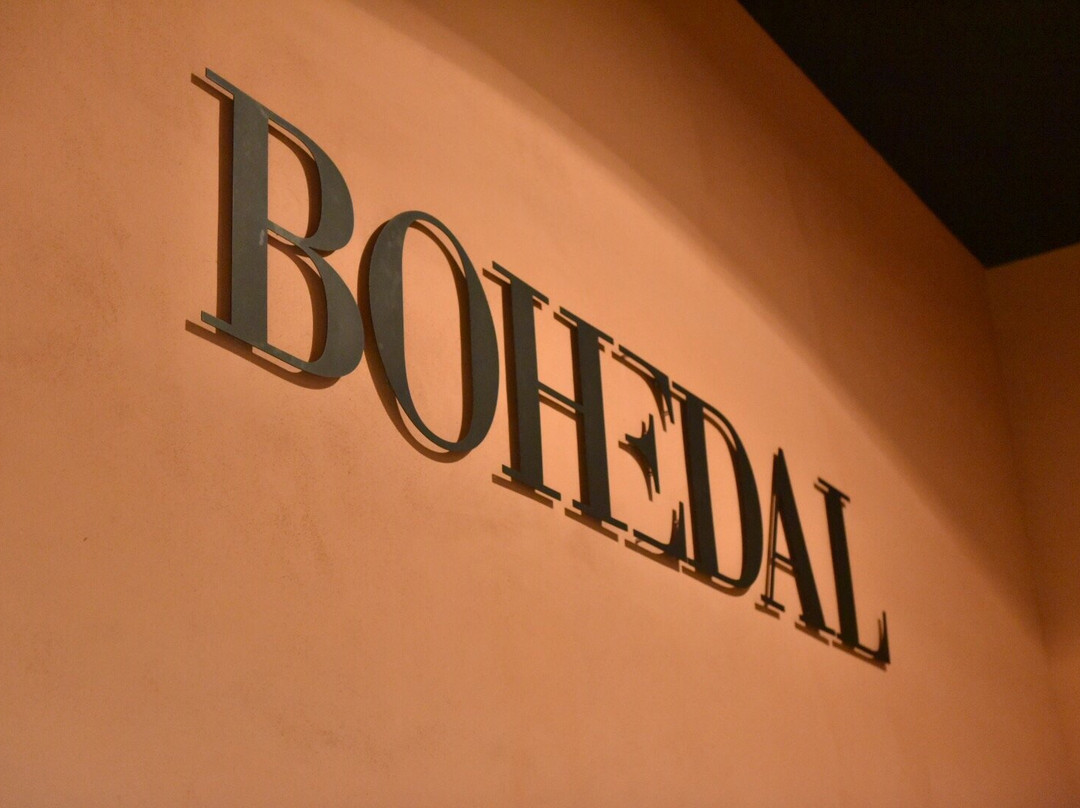 Bohedal Bodega Boutique景点图片