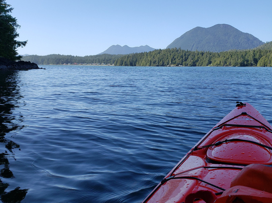 Black Bear Kayaking景点图片