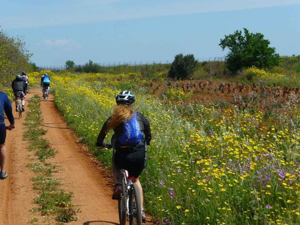 Papagiannakos Winery-Markopoulo Mesogeas必去景点