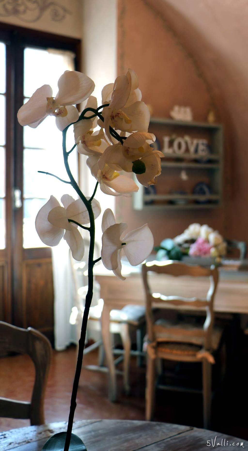 La Casa Rosa B&B-官方