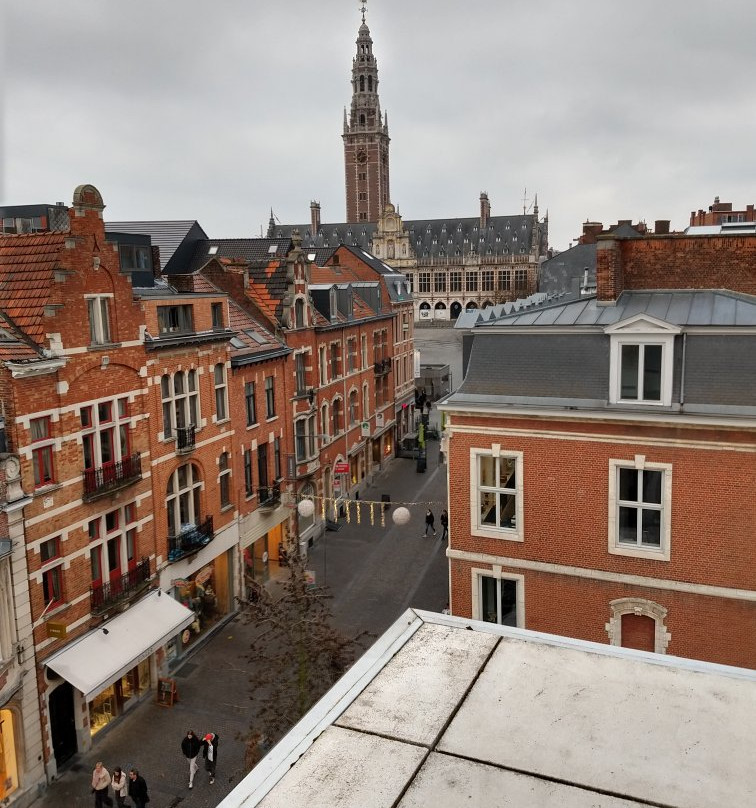 M - Museum Leuven景点图片