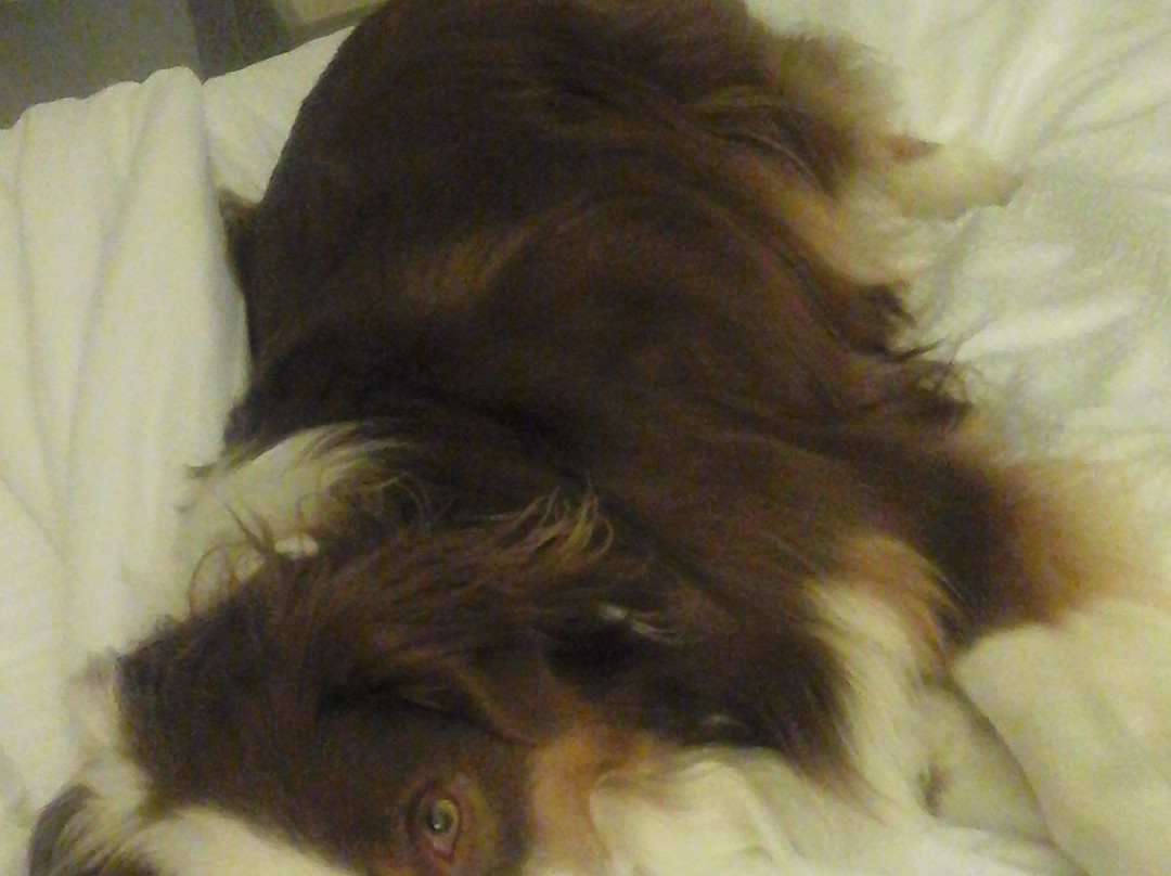 Sleep Inn & Suites主图