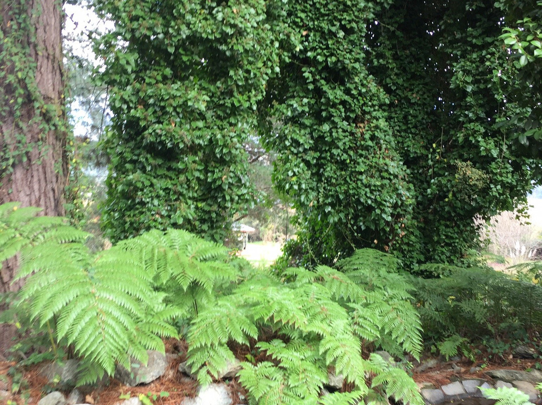 Hotel Puerta Del Sur主图