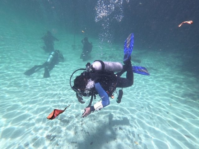 Hotel Cielo Maya Beach Tulum主图