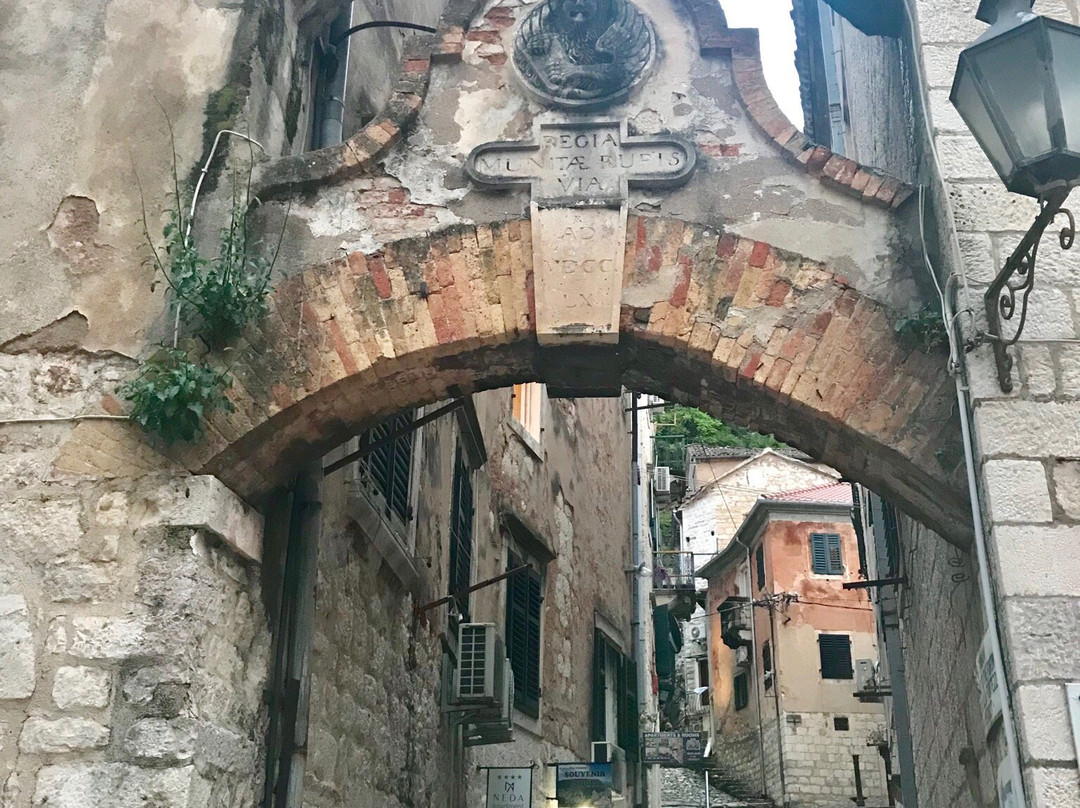 Grubonja Palace-科托尔必去景点