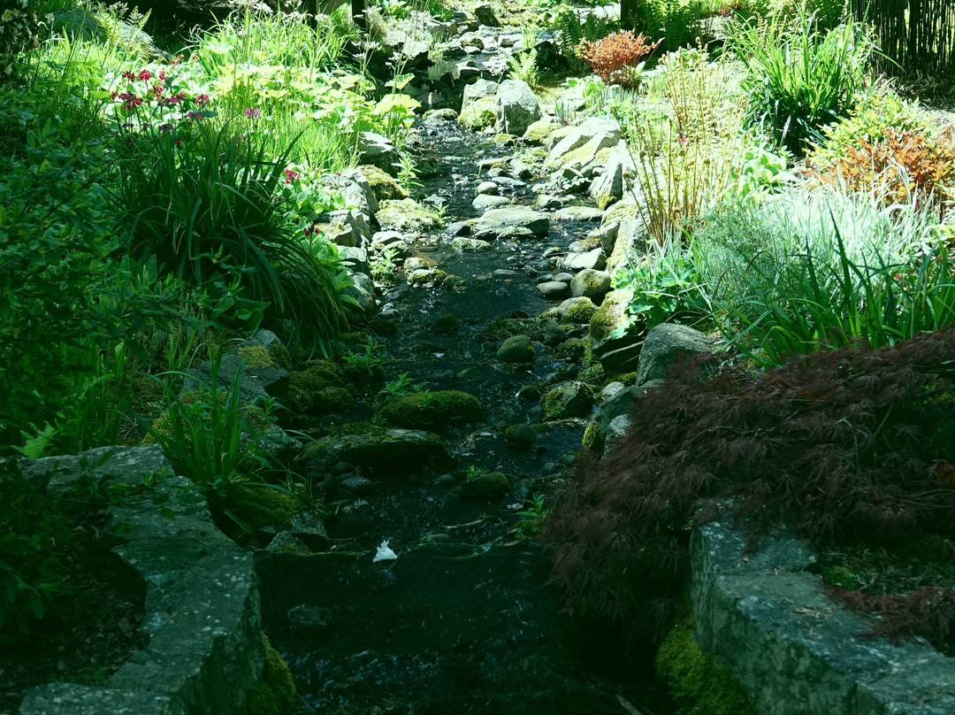 The Gardens at HCP景点图片