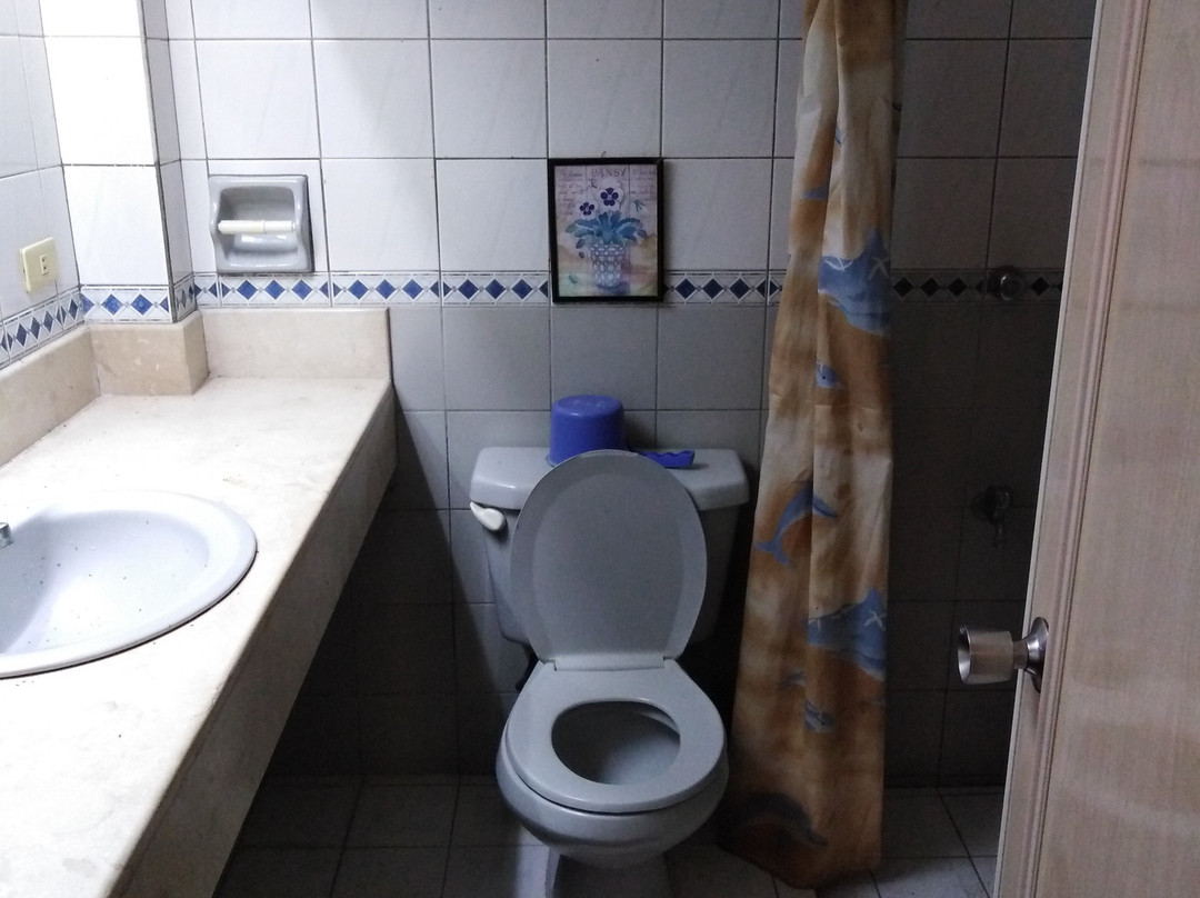 De Luxe Hotel and Restaurant主图