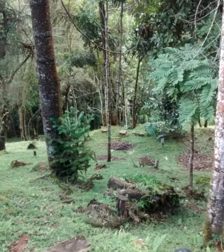 Alive Eco Hut Pousada主图