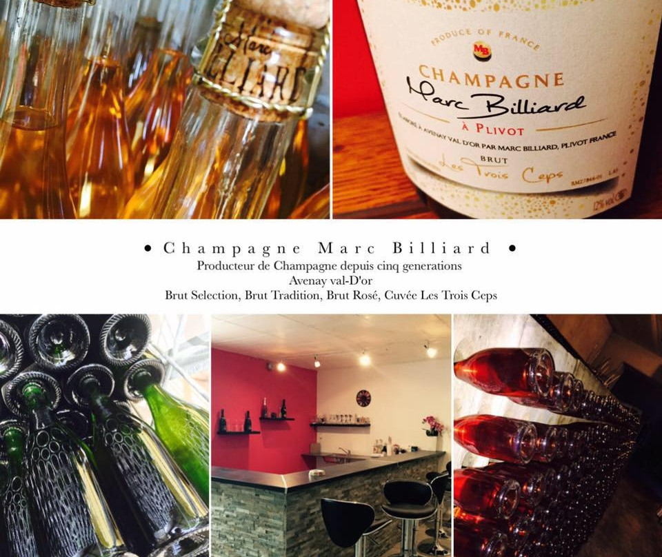 Champagne Marc Billiard景点图片