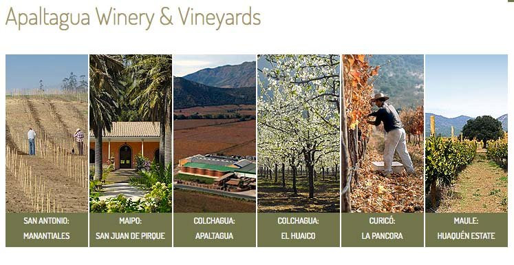 Vina Apaltagua-圣克鲁斯必去景点