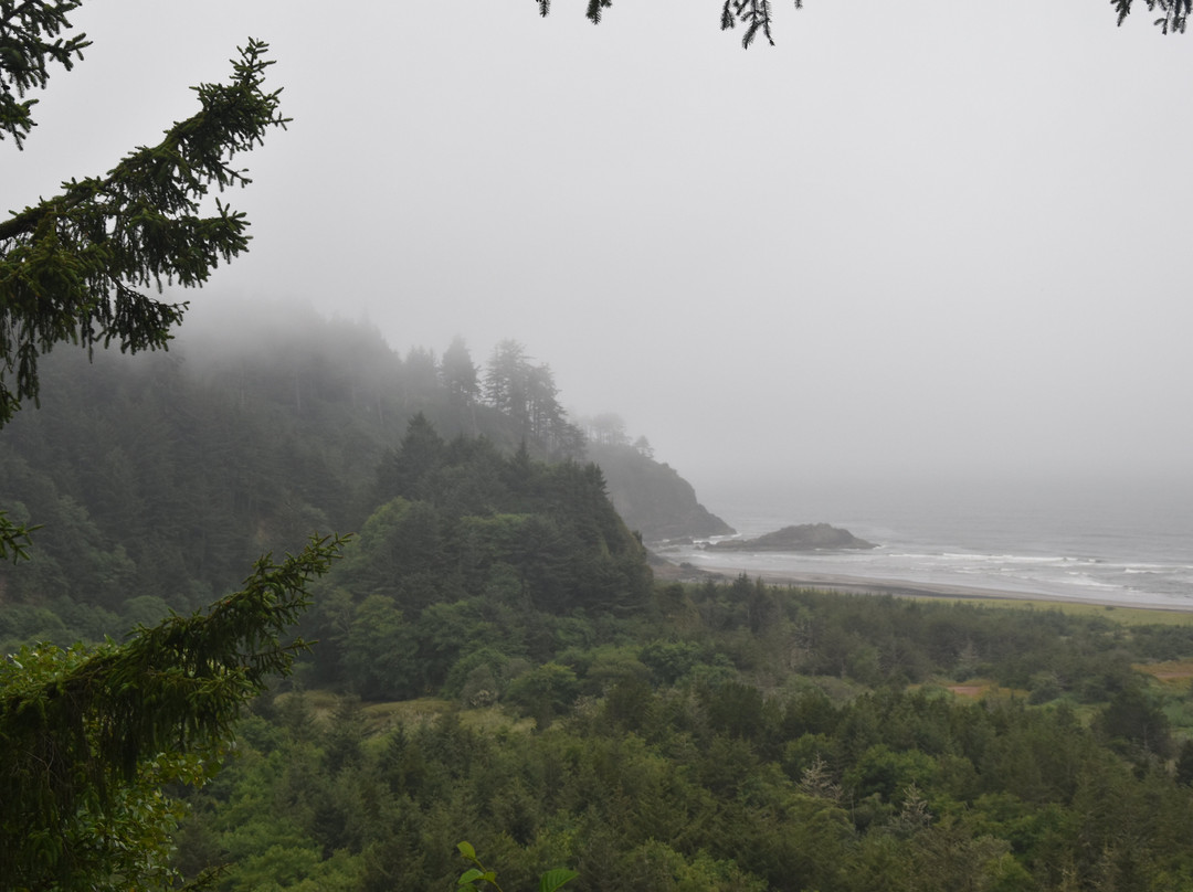 Cape Disappointment State Park景点图片