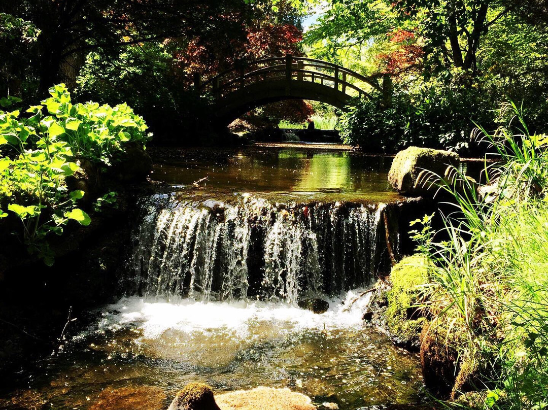 Japanese Water Garden景点图片