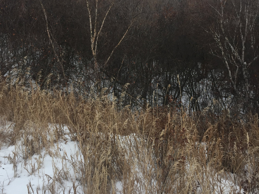 Chief Whitecap Waterway-萨斯卡通必去景点