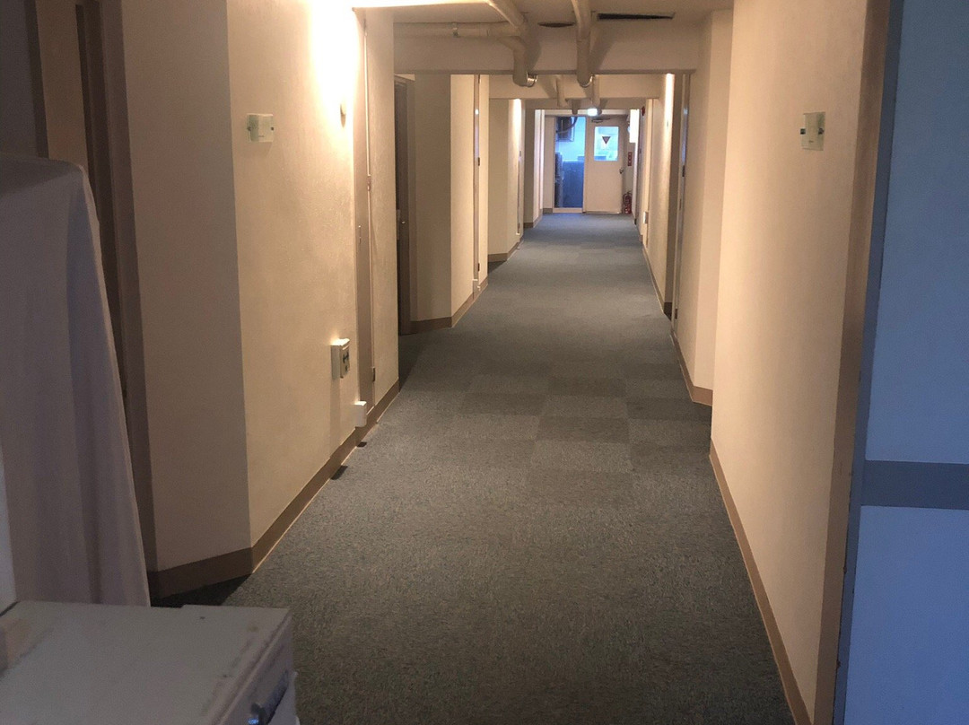 Hotel Kamoike Plaza主图