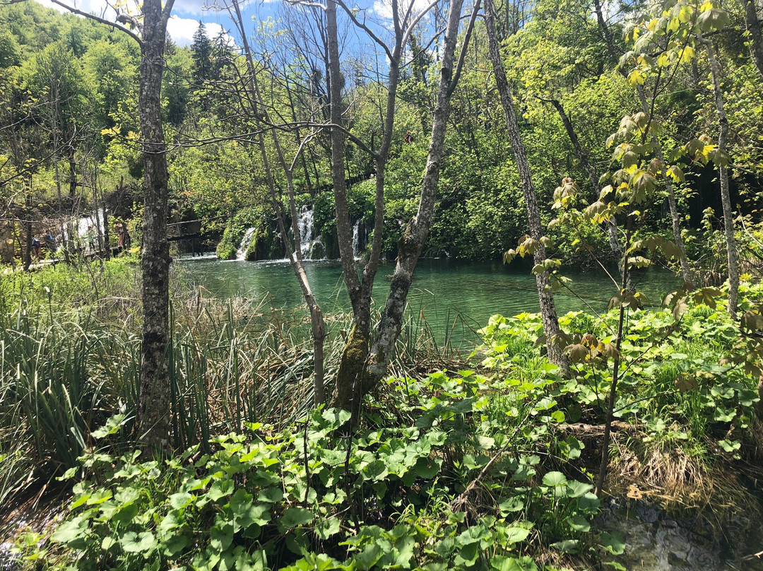 Sugaman Tours-奥米斯必去景点