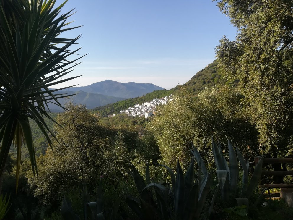 Finca El Chaparral主图