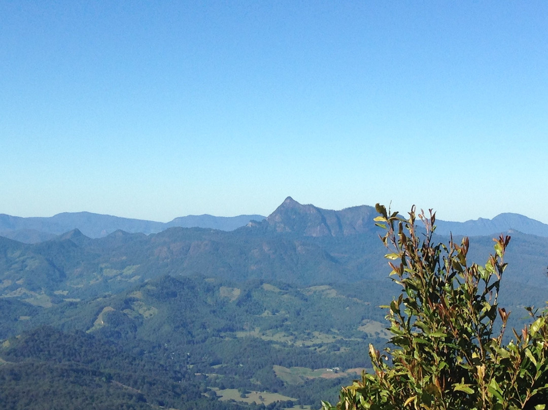 Gold Coast Rainforest Tours & Hikes-冲浪者天堂必去景点