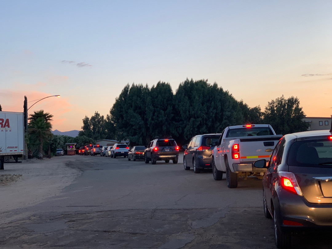 Smith's Ranch Drive-In-二十九棕榈村必去景点