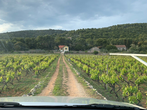 Vis Special Tours-维斯必去景点