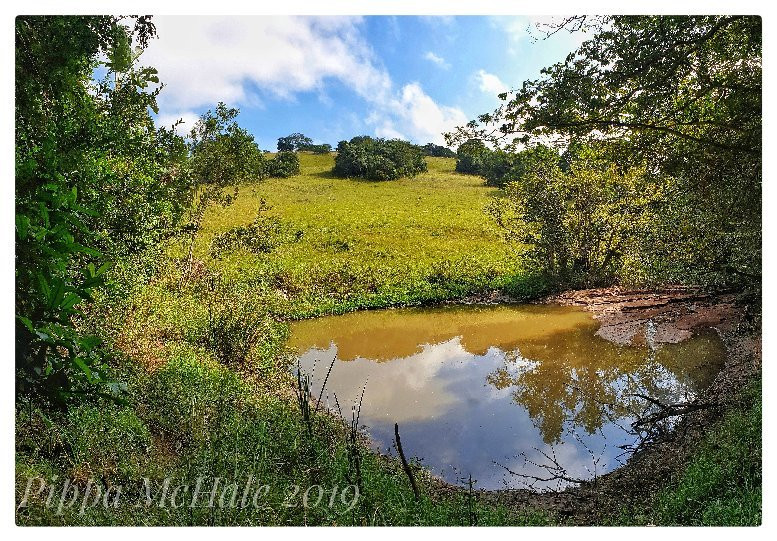 New Germany Nature Reserve景点图片