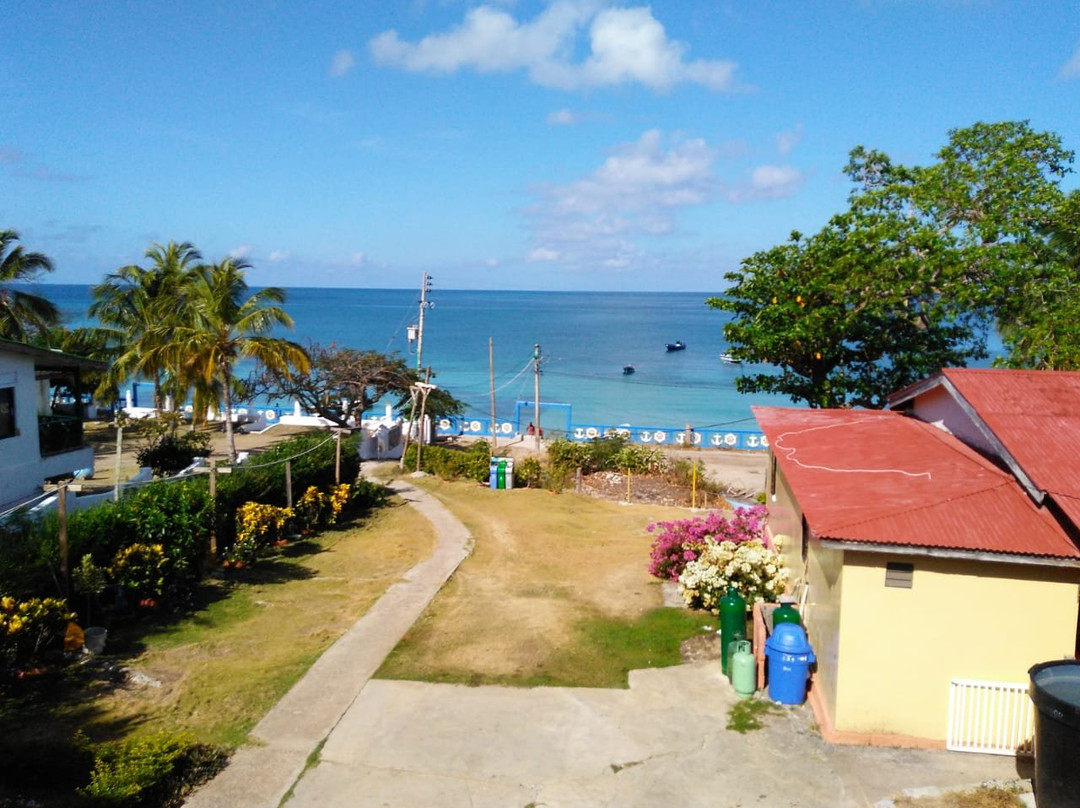 Posada Sweet Anashly主图