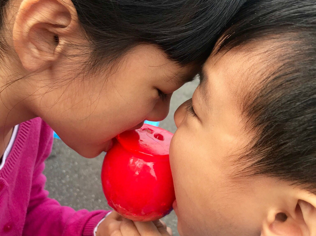 Tokiwadaira Cherry Blossom Promenade-松户市必去景点