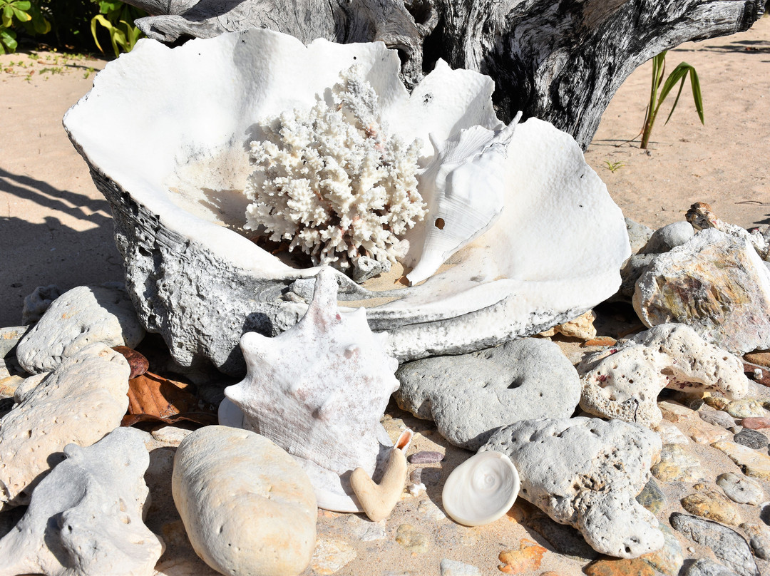 花岛度假村主图