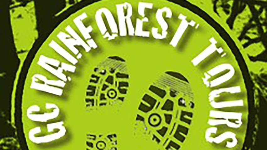 Gold Coast Rainforest Tours & Hikes-冲浪者天堂必去景点