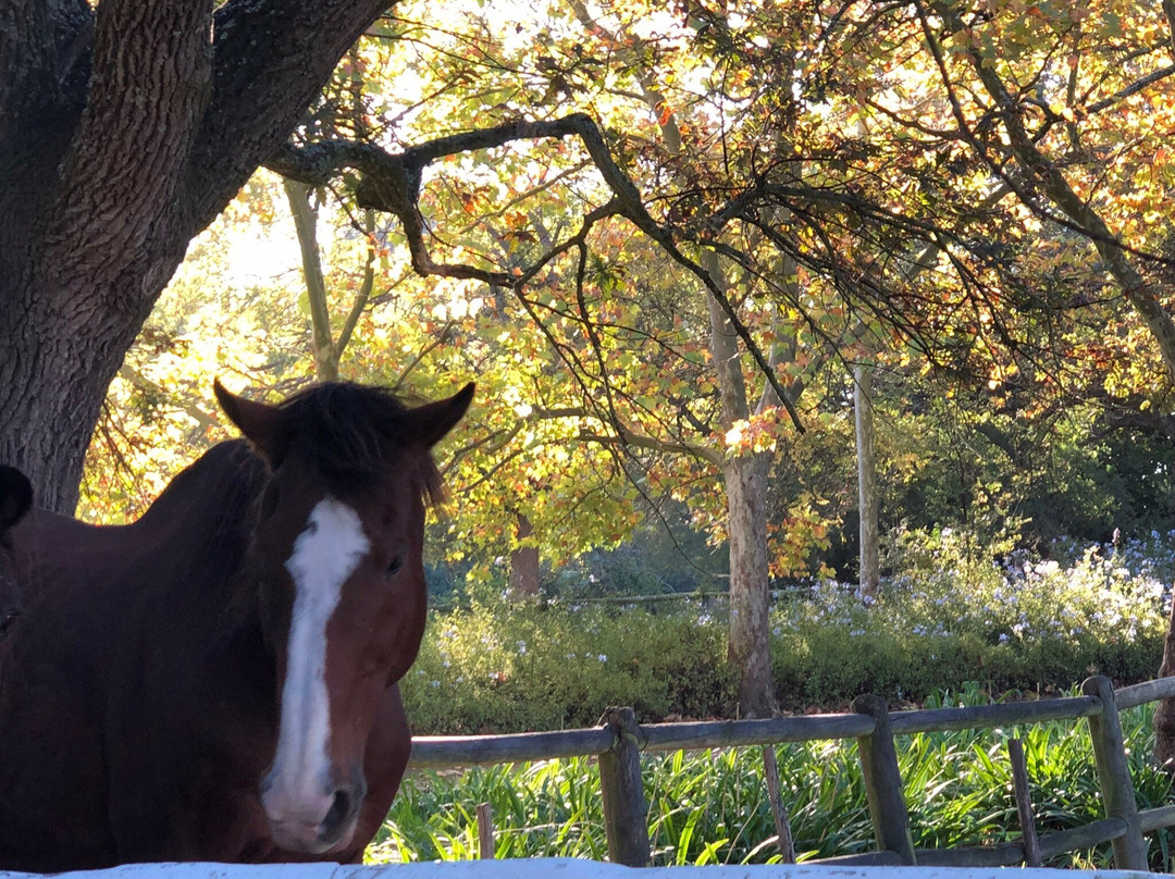 Natte Valleij Farm主图