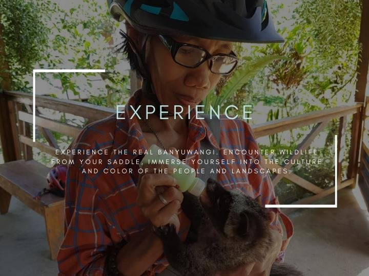 Ijen Cycling Adventure-巴纽旺宣必去景点